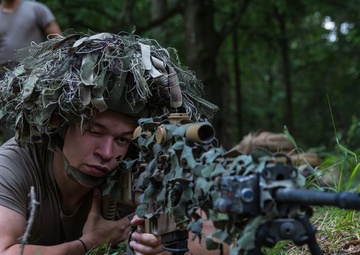 Taking Aim