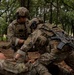 ROK, U.S. Navy SEALs conduct mass casualty drill