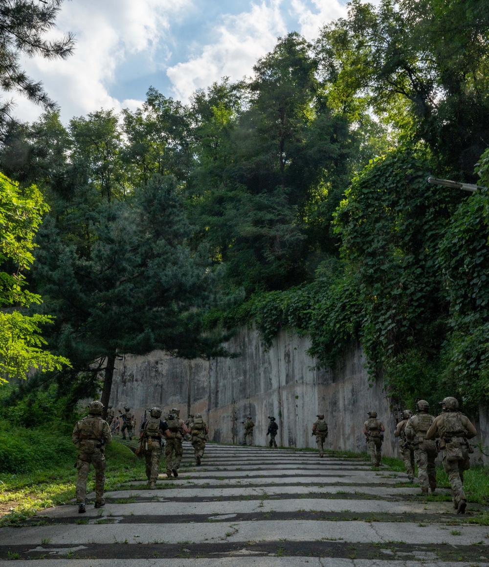 ROK, U.S. Navy SEALs conduct combined patrol training