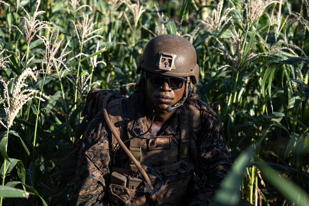 MRF-D Marines conduct combined arms live fire exercise during Super Garuda Shield 2023