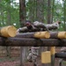 Transporters compete for title of SDDC Best Warrior at Fort Eustis