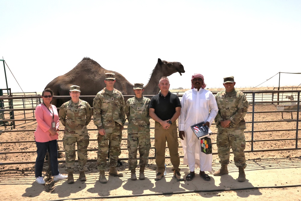 Camels outside of Camp Arifjan, Kuwait, September 2023