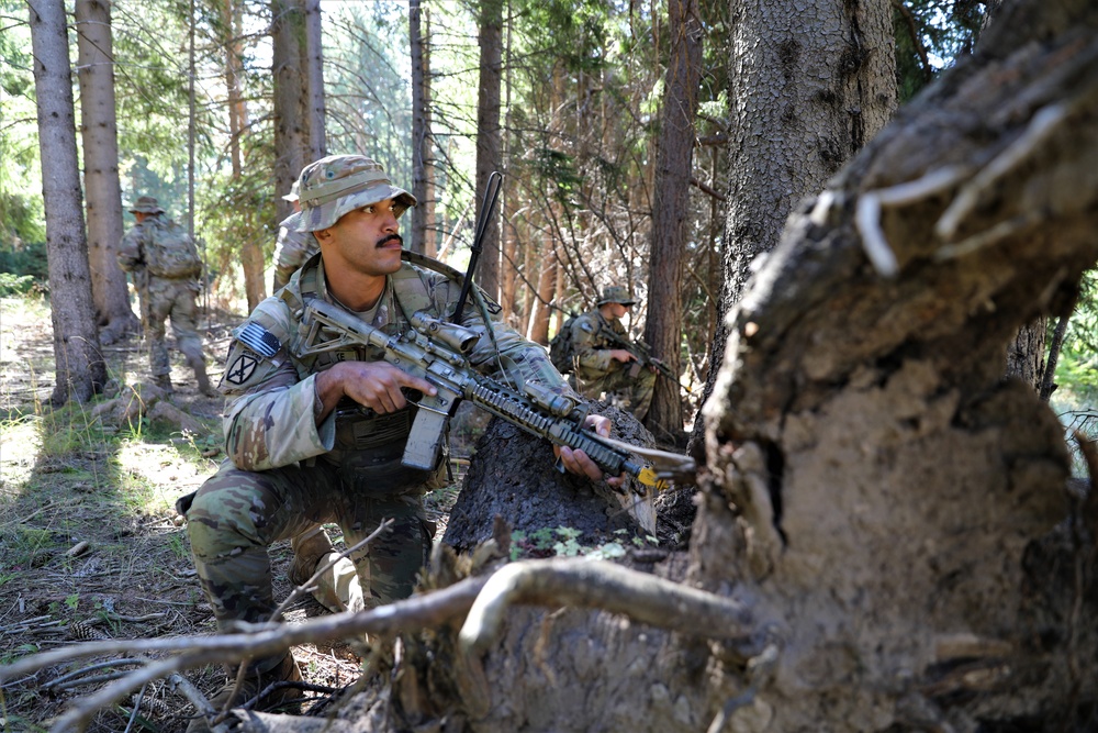 Combined Training Exercise Rhodope 23