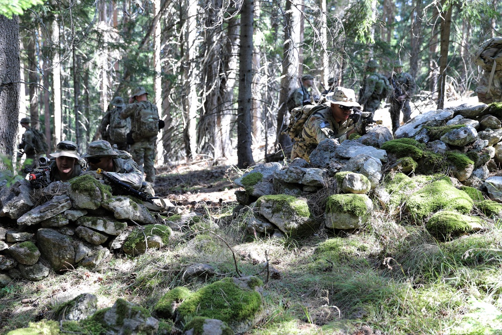 Combined Training Exercise Rhodope 23