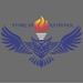 Torch Athena: 58 SOW Airmen advocate for and empower women