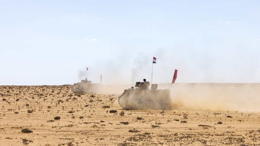 Marines with 3rd Assault Amphibian Bn. coordinate maneuvers with partner nations for upcoming combined arms live fire exercise