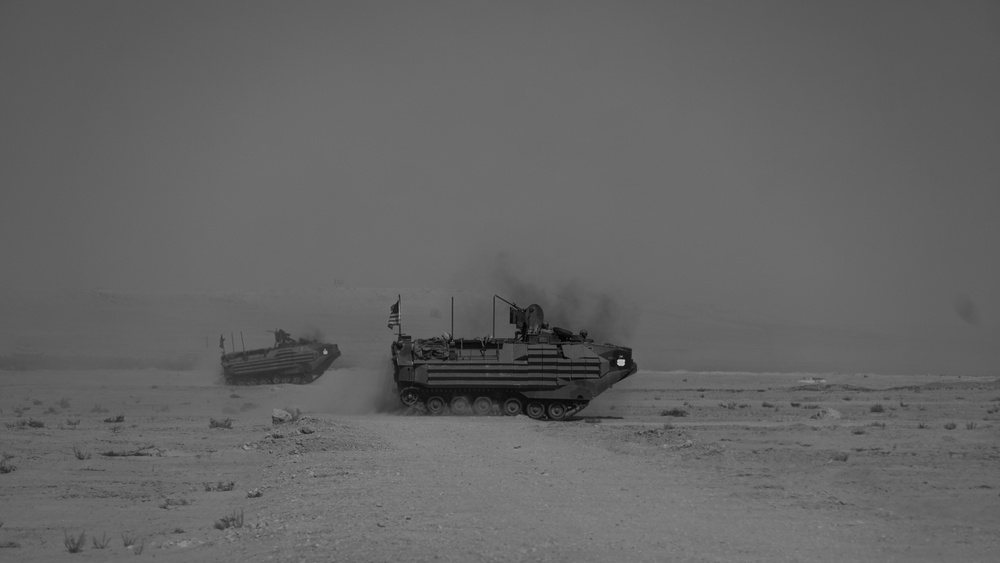 Marines with 3rd Assault Amphibian Bn. coordinate maneuvers with partner nations for upcoming combined arms live fire exercise