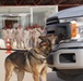 378th ESFS demonstrates police tactics to RSAF