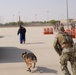 378th ESFS demonstrates police tactics to RSAF