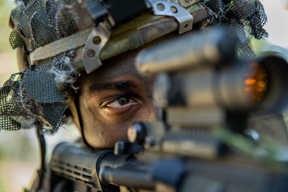 U.S. Army and multinational Soldiers train during Saber Junction 23