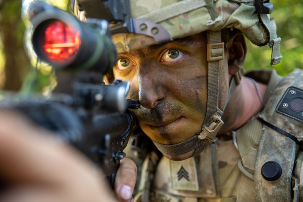 U.S. Army and multinational Soldiers train during Saber Junction 23