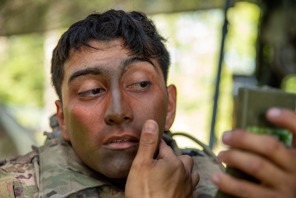 U.S. Army and multinational Soldiers train during Saber Junction 23