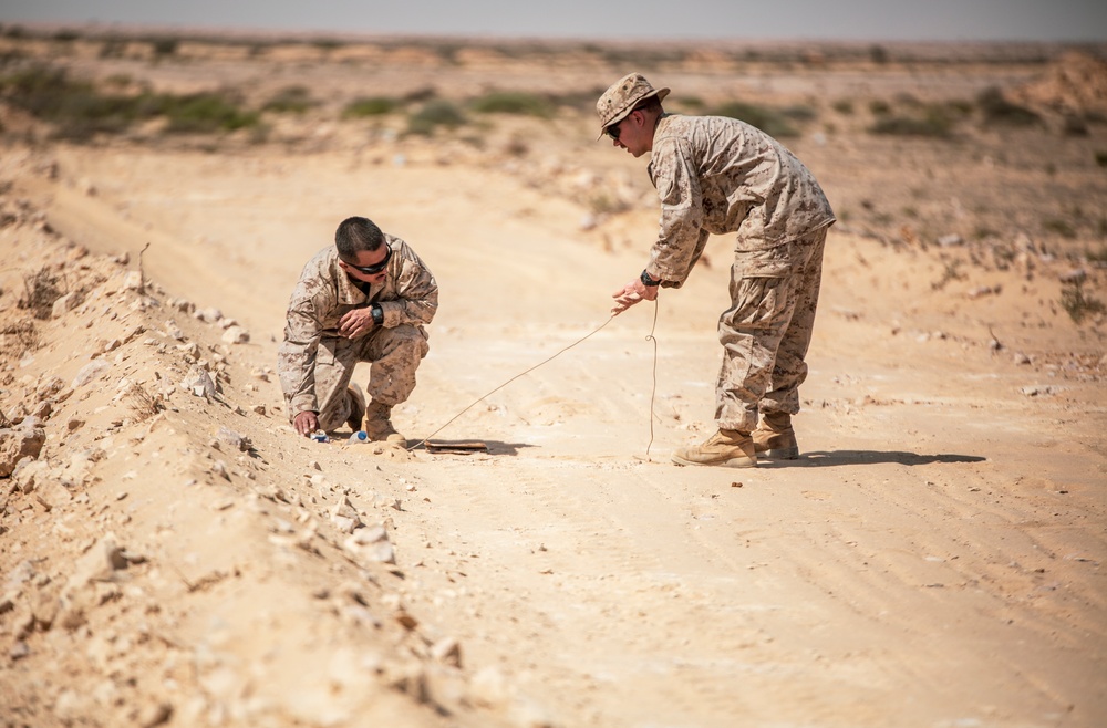 Bright Star 23: 4th CEB and TF 56.1 Counter IED Lanes