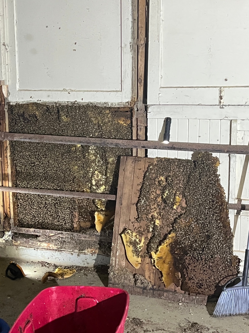 Beehive during extraction at the Beltsville Agricultural Research Center (BARC) in Beltsville, Md., Aug. 7, 2023.