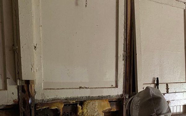 Bill Castro, beekeeper, extracts hive and honeybees