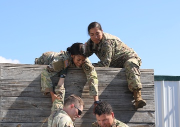 Leaders reaction course