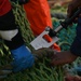 US Coast Guard Cutter Forward crew members participate in Northwest Atlantic Fisheries Organization inspection at sea in the Atlantic Ocean