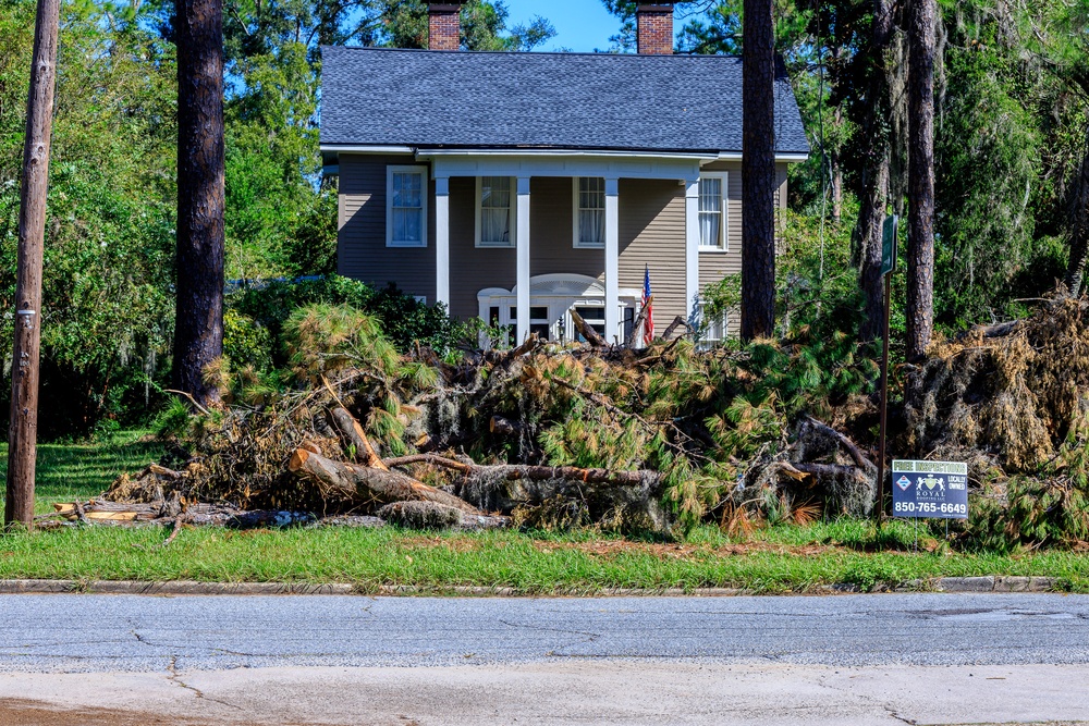 Debris in Madison, FL