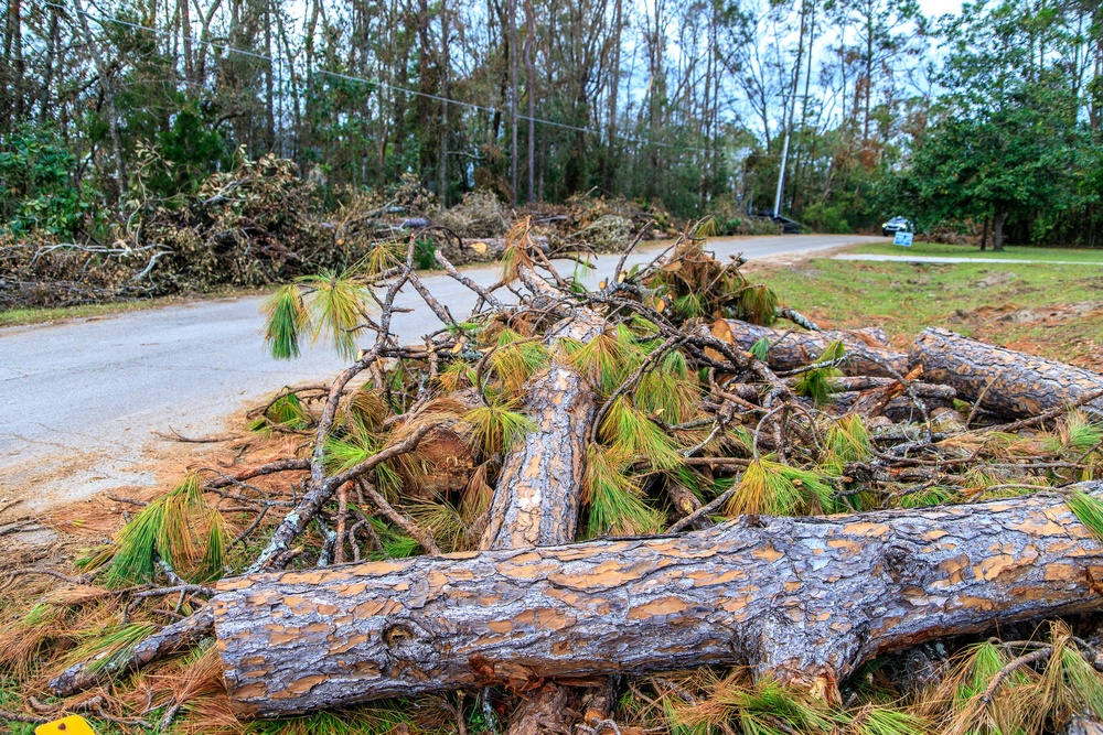 Debris in Perry, FL