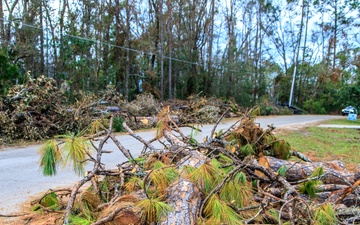 Debris in Perry, FL