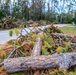 Debris in Perry, FL
