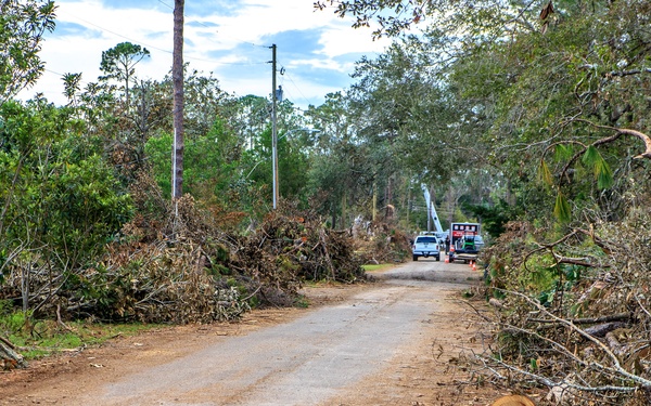 Debris in Perry, FL