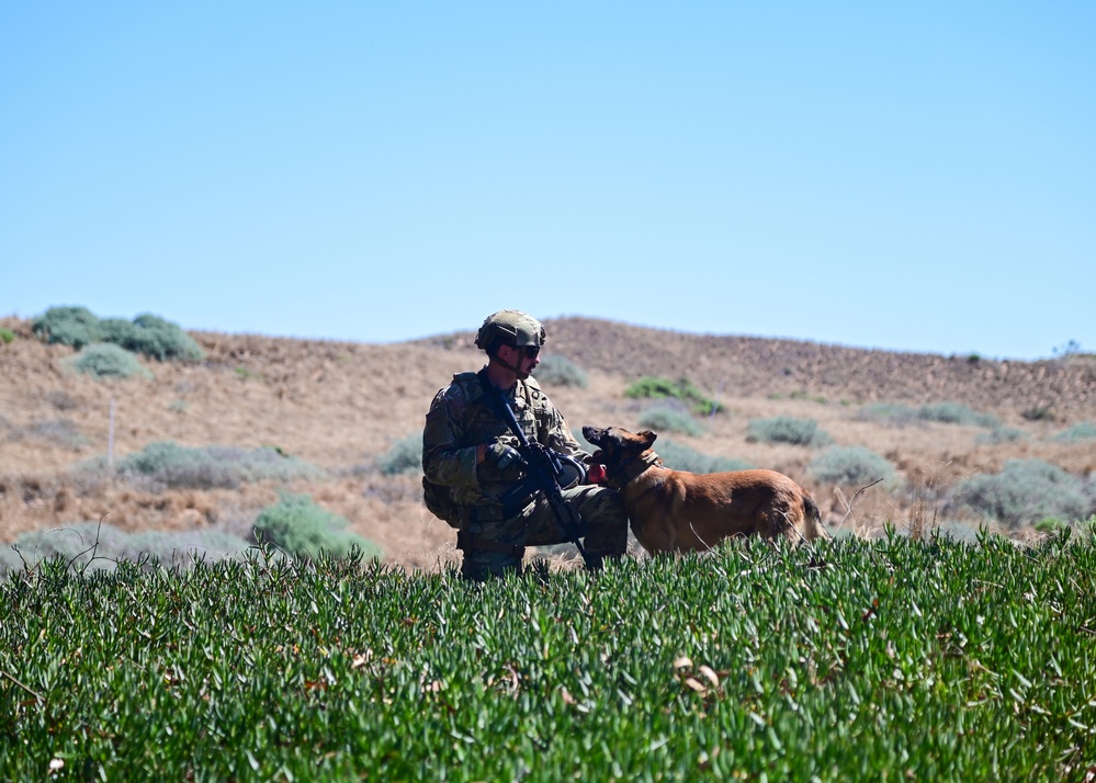 30th Security Forces Squadron Expeditionary Training