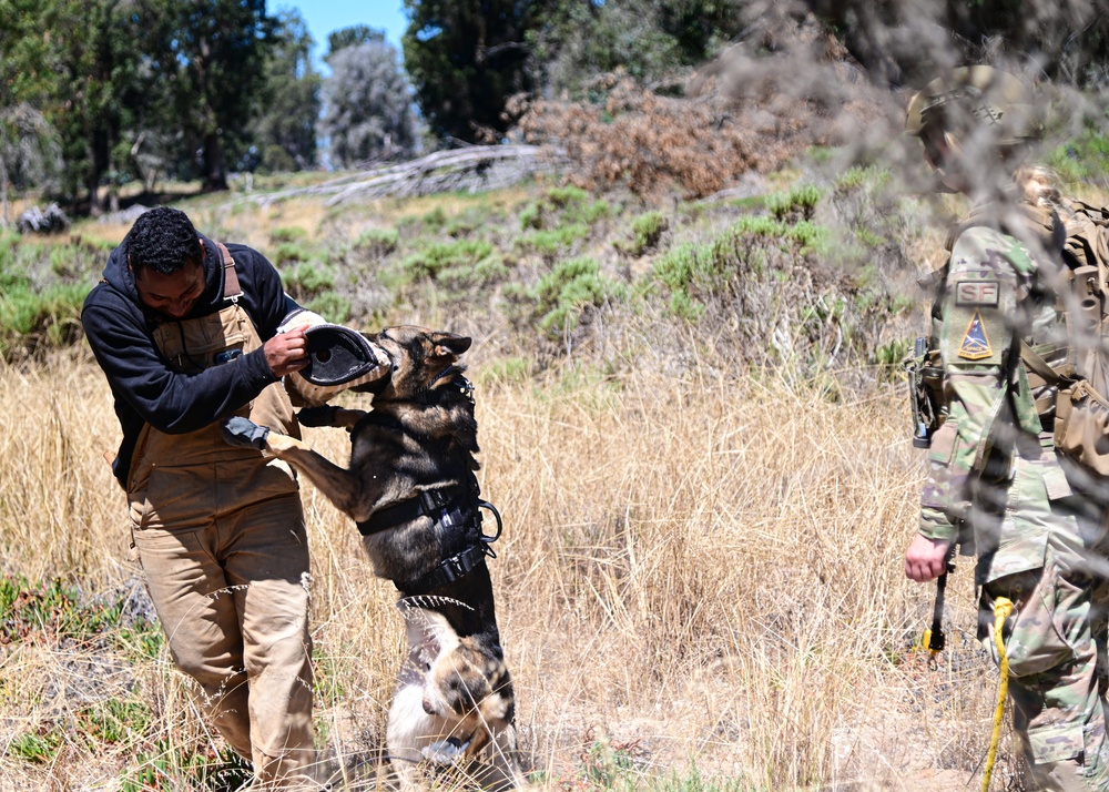 30th Security Forces Squadron Expeditionary Training