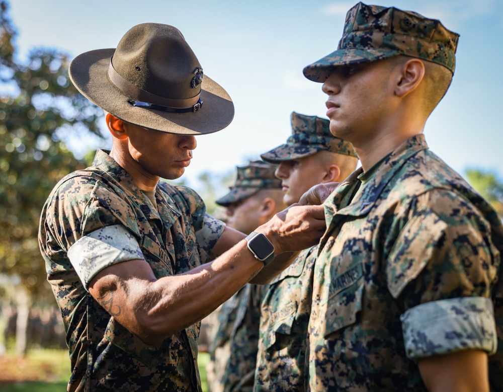 November Company Promotion Ceremony