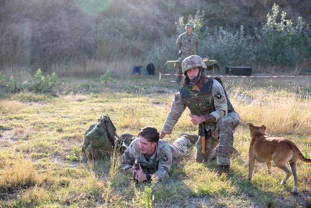 Romanian Best Scout Competition