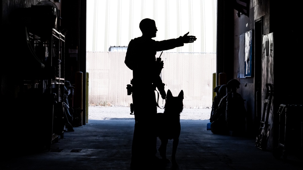 MWD Lucky Tests His Sniffing Skills