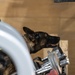 MWD Lucky Tests His Sniffing Skills