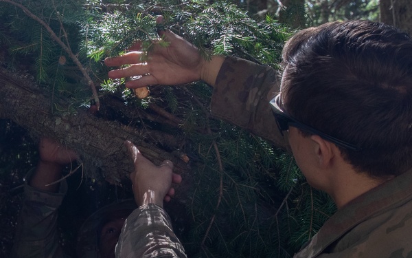 Soldiers from 10th Mountain Division and Bulgarian Land Forces 101st Alpine Regiment participate in the Rhodope 23 tactical movement and mountain survival techniques event on Sep. 13, 2023, near Smolyan, Bulgaria