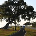 MacDill defenders honor 1st Lt. Joseph Helton, a fallen hero