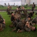 U.S. Marines conduct morning physical training for a Martial Arts Instructor course