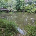 Conneaut Creek Sea Lamprey Barrier