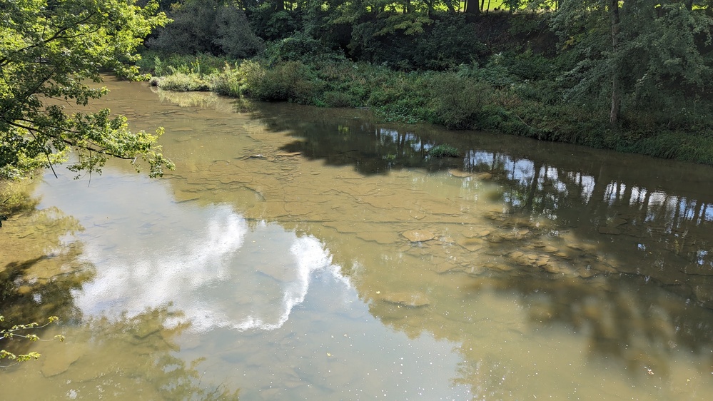 Conneaut Creek Sea Lamprey Barrier