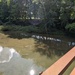 Conneaut Creek Sea Lamprey Barrier