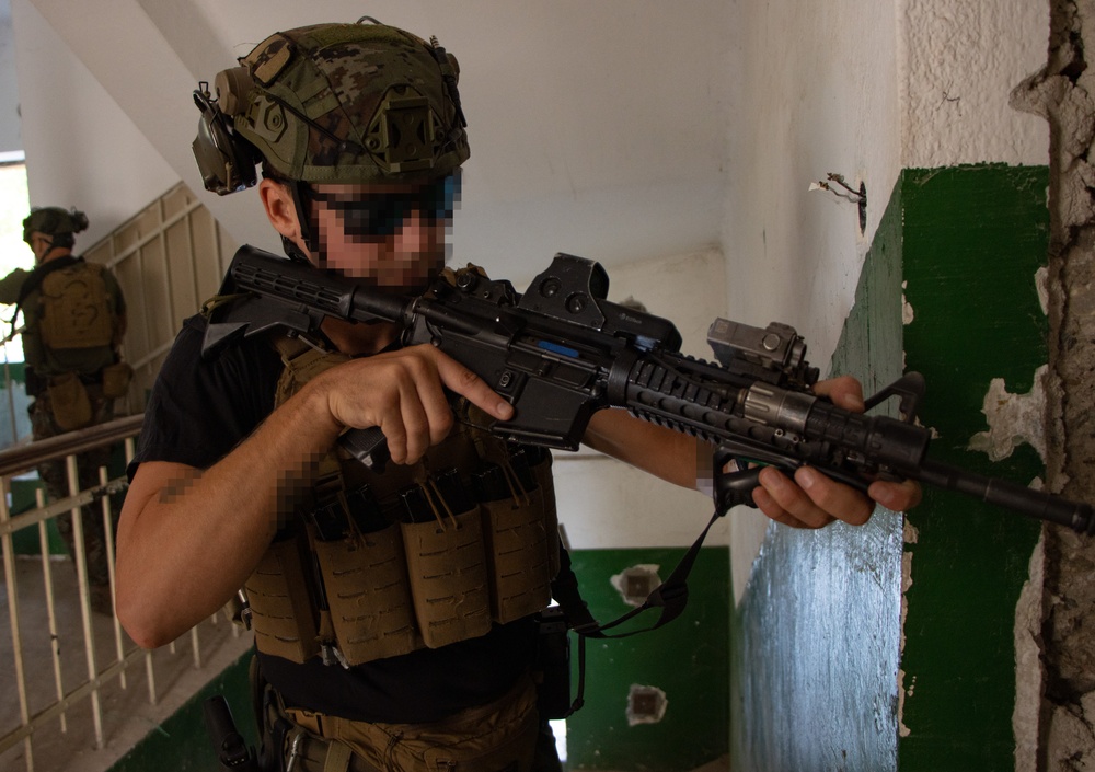 Green Berets train with allies in North Macedonia