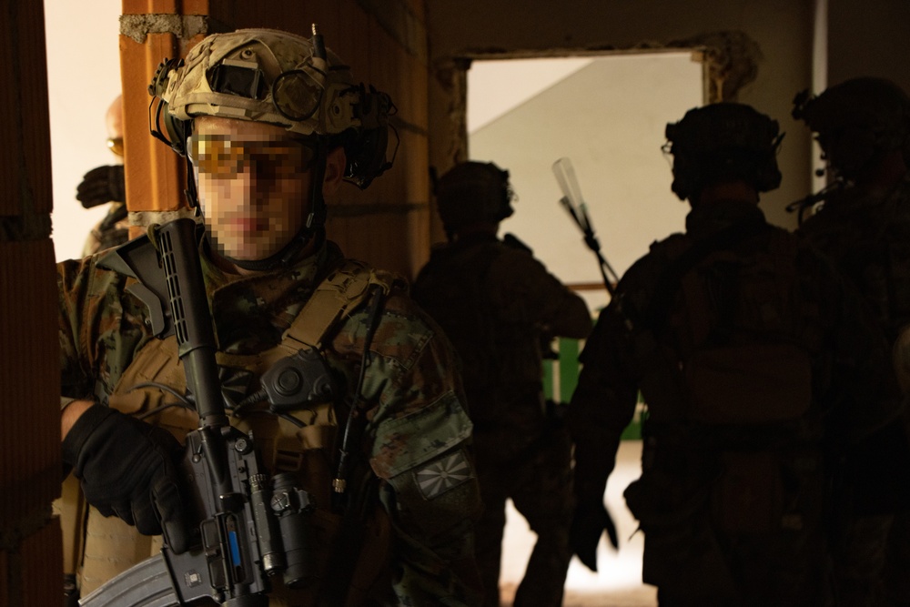 Green Berets train with allies in North Macedonia