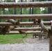 Pay Day Activities with 1-91
