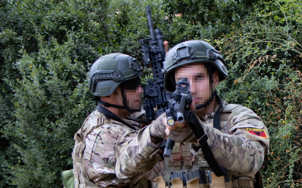 Green Berets train with allies in North Macedonia
