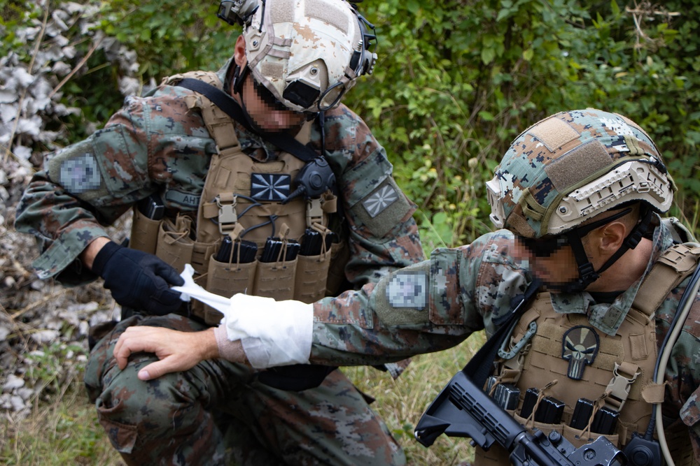 Green Berets train with allies in North Macedonia