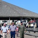 F-22 Raptor aerial demonstration over Tybee Island, Georgia, compliments 2023 William Tell competition