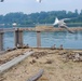 Common Tern Conservation Success at Naval Station Great Lakes