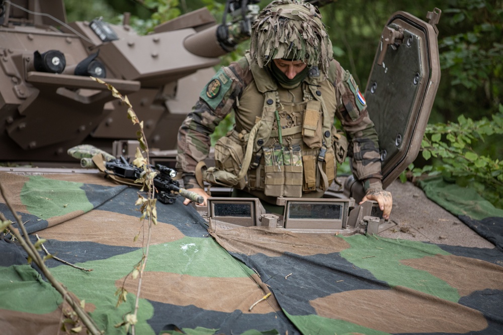 Multinational Soldiers train in various combat skills during Saber Junction 23