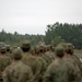 Kamifurano Training Area Orient Shield 23 Opening Ceremony