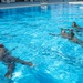 Soldiers Conduct Water Survival Training