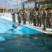 Soldiers Conduct Water Survival Training