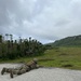 168th and 268th Security Forces Squadron Airmen Compete At Advanced Combat Skills Assessment